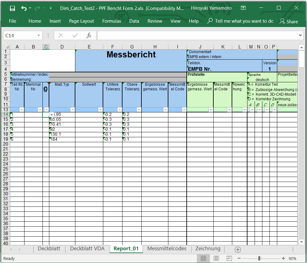 PPF Bericht Form 2 Vorlage